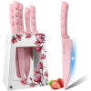 Kitchen Knife Set,Pink Flower 6PC Stainless Steel with Acrylic Block Stand,