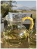 3 Quarts Water Pitcher with Lid, Palm Tree Design Unbreakable Plastic, with Spout BPA Free
