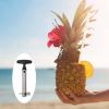 Pretty Prickly Pineapple Peeler The 4P Tool Cores and Slices
