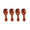 4Pcs Mini Wooden Spoons; Short Handle Wood Spoons for Condiments Kitchen Gadgets