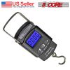 5 Core Fish Scale 110 LBS 50 KG, Handheld Portable Electronic Digital Hanging Hook Scale with 2 AAA Batteries
