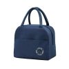 1pc Insulated Lunch Bag; Portable Large Capacity Waterproof Leakproof Reusable Tote For Travel Work School
